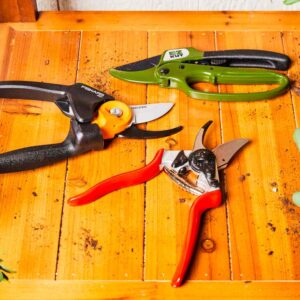 Attrezzature per potatura