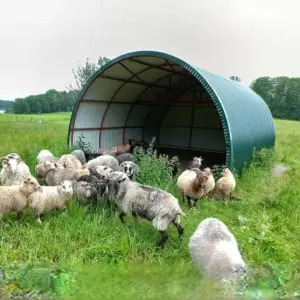 Attrezzature per stalle e ricoveri animali