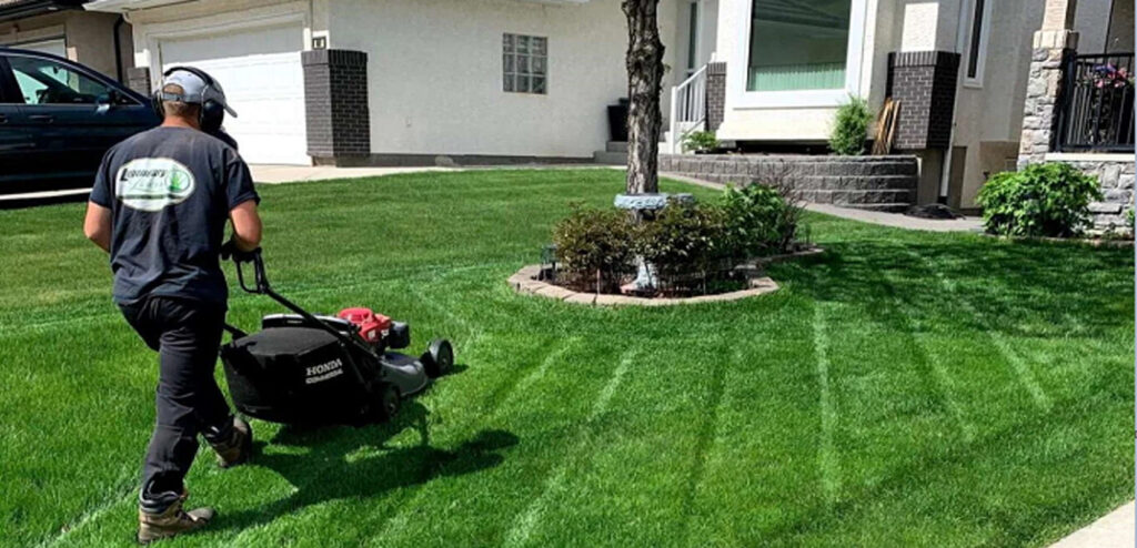 attrezzature agricole professionali EuroAgrix giardino