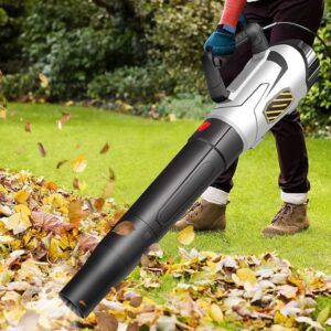 Aspiratori e soffiatori